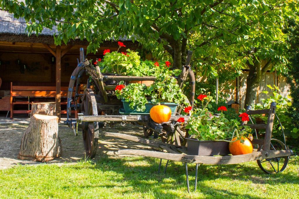 Kaktusz Villa Heviz Ngoại thất bức ảnh